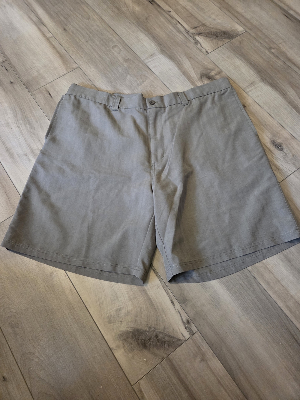 Big Dogs Men's Light Olive Flat Front Shorts